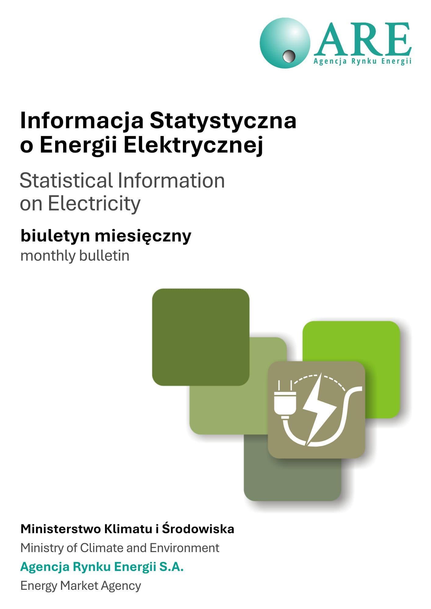 INFORMACJA STATYSTYCZNA O ENERGII ELEKTRYCZNEJ